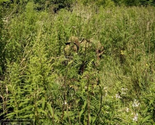 GreenZone, Poland (Equipped.pl)
