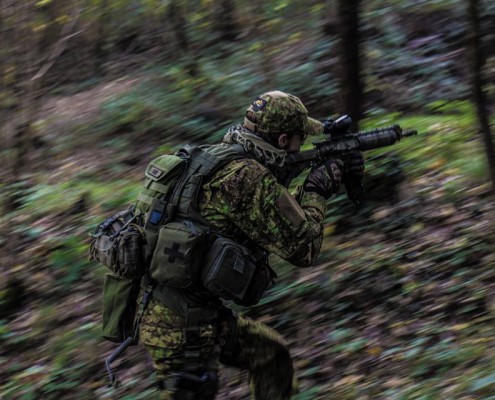 GreenZone, UK