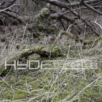 GreenZone, UK (Dom Hyde)