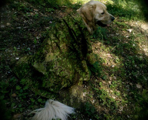 GreenZone, Austria (David Jankel)