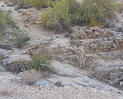 SandStorm, Arizona USA (Predator Intel)
