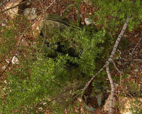 GreenZone, Arizona USA, (Predator Intel)