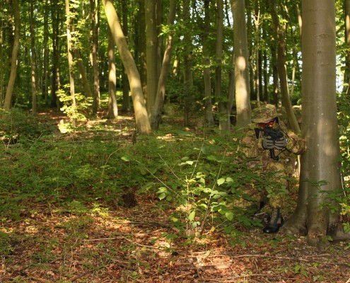 GreenZone, UK (Jerry Noone)