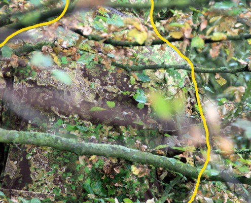 Man in PenCott GreenZone concealed in foliage