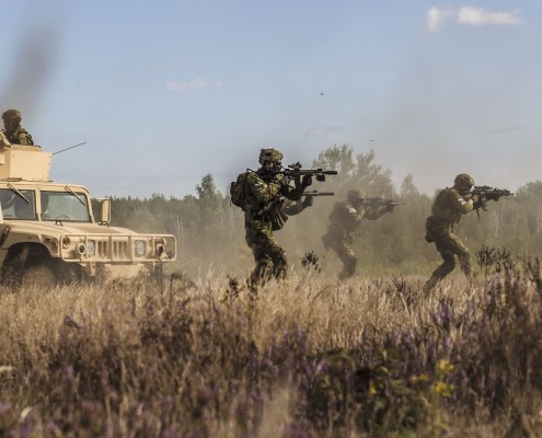 GreenZone, Poland (Direct Action)