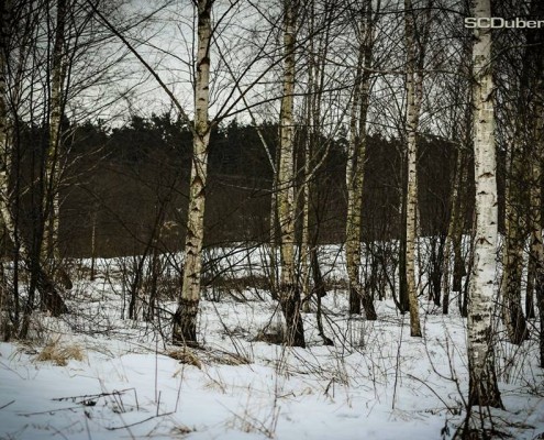 SnowDrift, Poland (SCDTV)