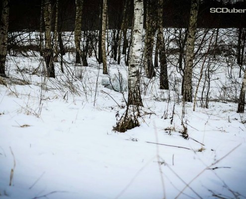 SnowDrift, Poland (SCDTV)
