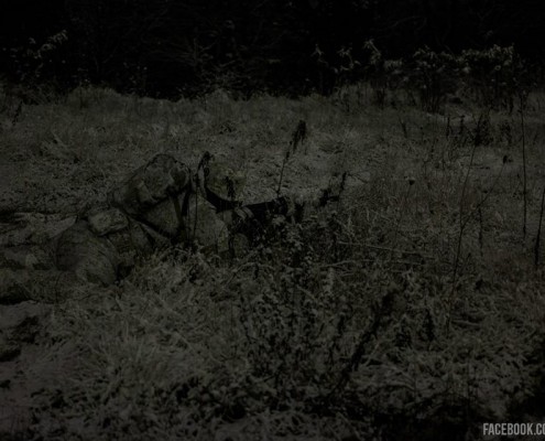 SnowDrift (nocturnal), Poland (SCDTV)