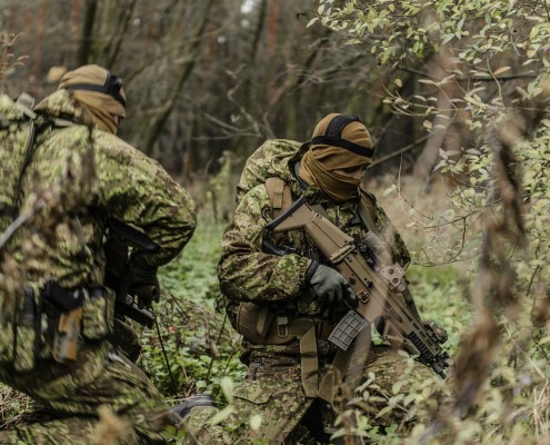GreenZone, Poland (Direct Action)