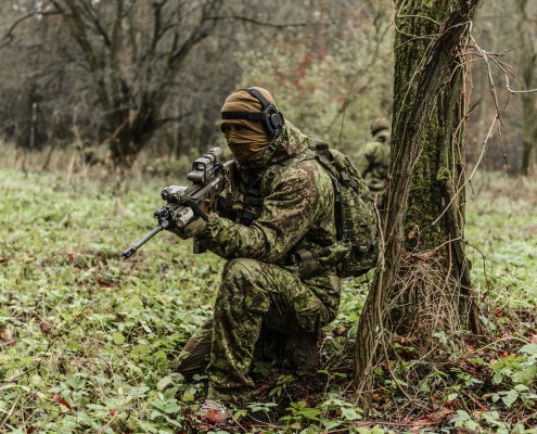 GreenZone, Poland (Direct Action)