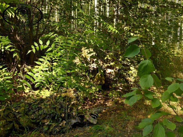 GreenZone, Czech Republic, MorrisCZ