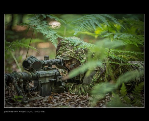 GreenZone, Austria (Leo Koehler)