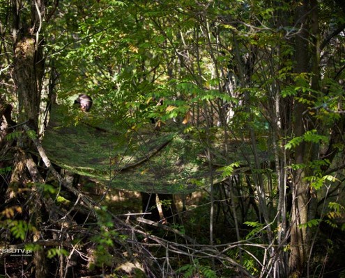 GreenZone, Poland (SCDTV)