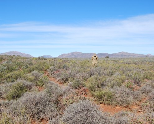 BadLands, Namibia (Silent Heroes Foundation)