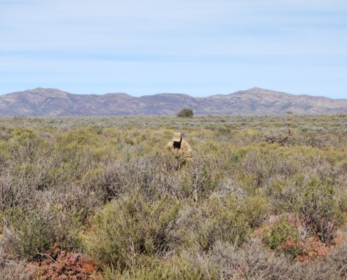 BadLands, Namibia (Silent Heroes Foundation)