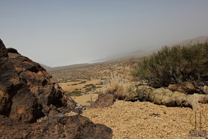 BadLands, Tenerife (Ripperkon)